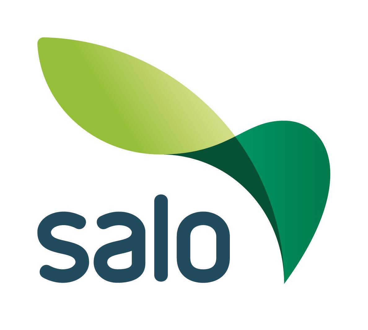 Salon kaupunki